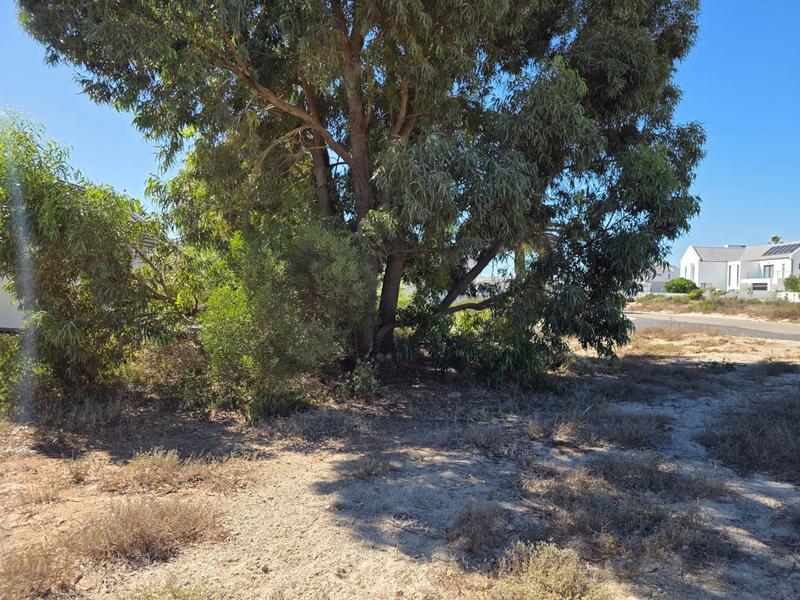 3 Bedroom Property for Sale in Shelley Point Western Cape